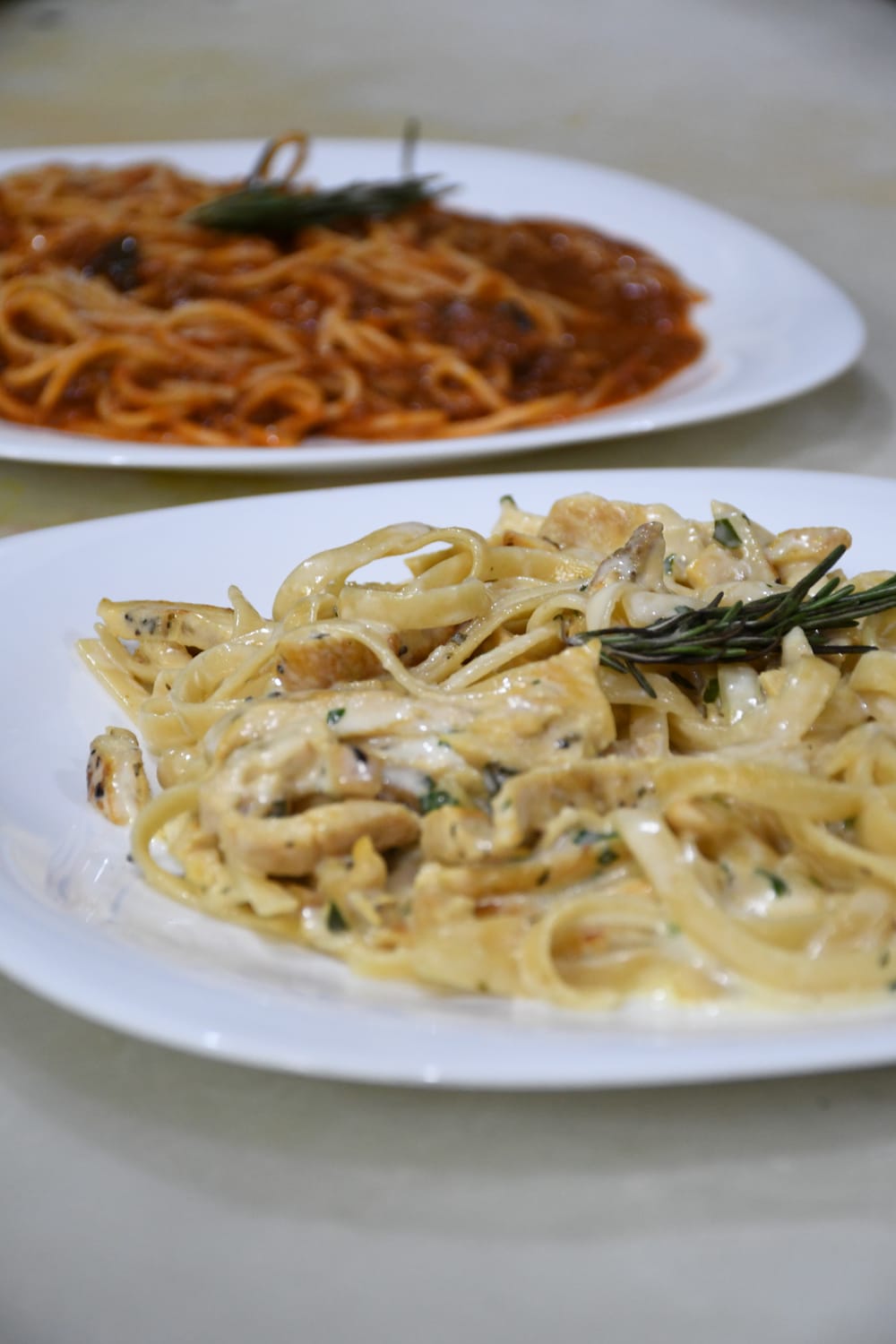 Fetuchini en salsa blanca y spaguetti en salsa de jitomate